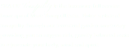 &nbsp;SEA OF Tranquility is the luxurious full service lunar spa of Mare Tranquillitatis. Enter a state of tranquilty through our terrestrial garden sancturary providing you an oxygen rich, gravity balanced oasis to rejuvenate your body, mind and spirit. 
